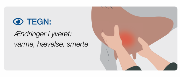 Stage 2 Mastitis in cows Clinical signs of mastitis involving cows in pain